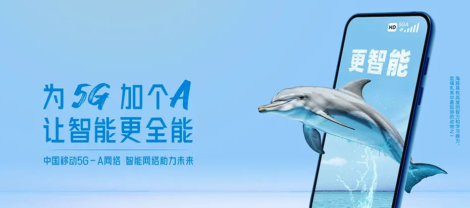 常山县常山县东案乡 移动宽带